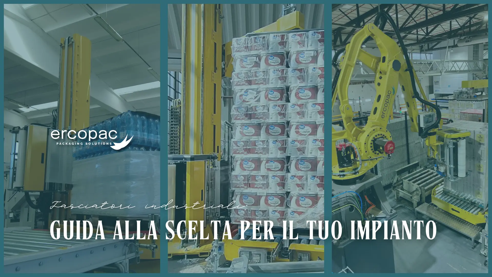 Guida tecnica alla scelta dei fasciatori industriali Ercopac. Confronto tra Spider S, Spider C e Spider R in base a capacità produttiva, layout e consumi energetici.