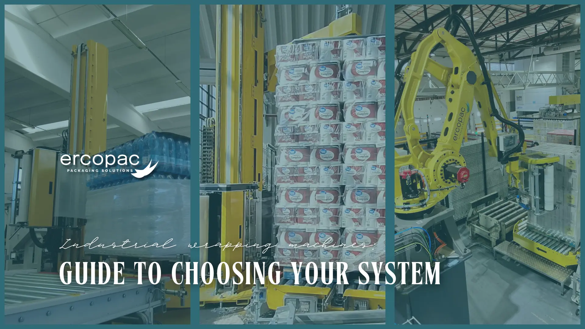 Technical guide to choosing the right industrial wrapping machine. Comparison between Spider S, Spider C and Spider R based on productivity, layout and energy consumption.