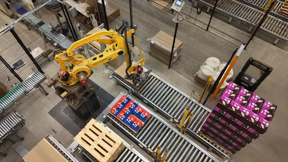 robot antropomorfo per pallettizzazione automatica su linea a rulli con scatole nel fine linea industriale